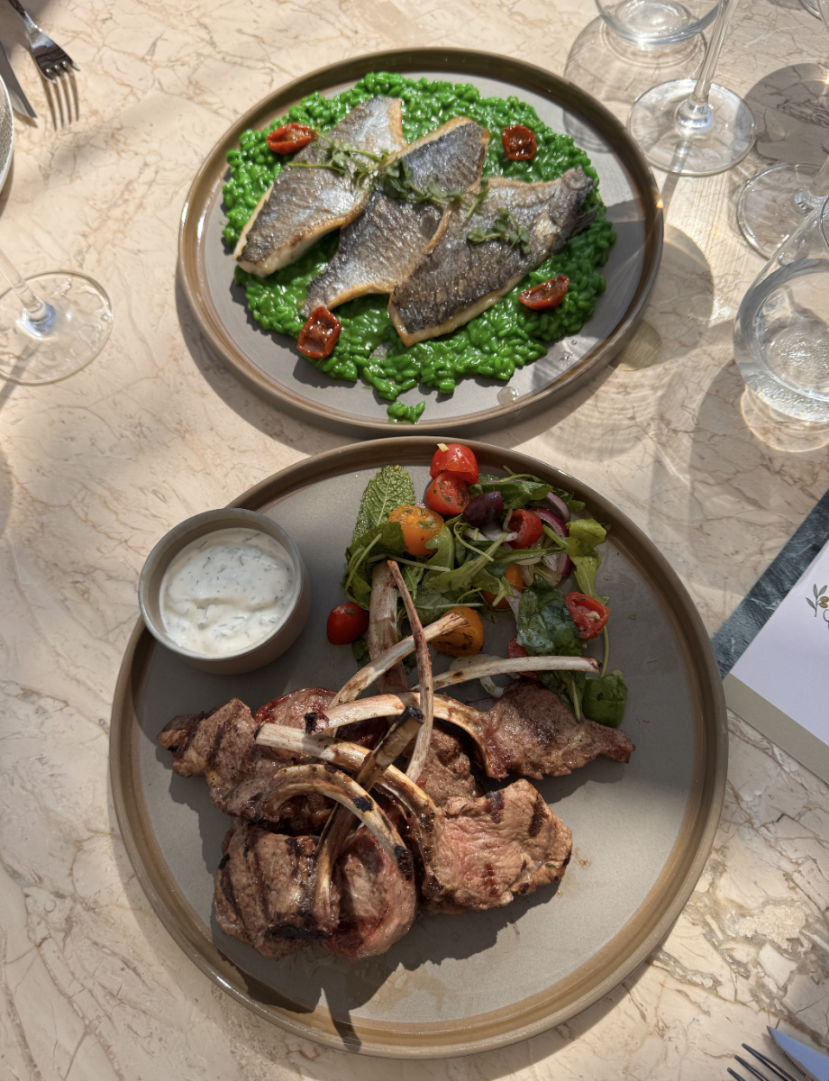 Mediterranean and Greek food in Ibiza at Elia restaurant