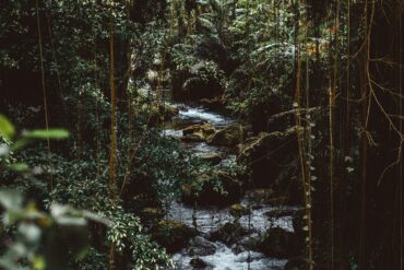 Rewiring our primal mind through neuroscience techniques